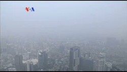 Kebakaran Hutan di Indonesia, Tragedi Yang Bisa Dicegah