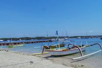 Wisata Konservasi Terumbu Karang di Green Island, Bali