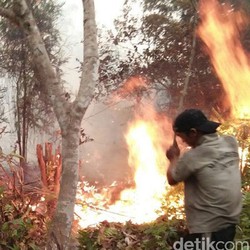 Masalah Asap Mengepul di Dunia Maya