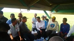 Petani ke Mentan Saat Blusukan: Tolong Pak Jangan Impor Beras!