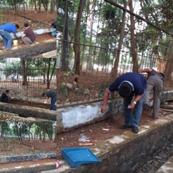 GBK Penuh Coretan, Ridwan Kamil Perintahkan Pemkot Bersih-bersih