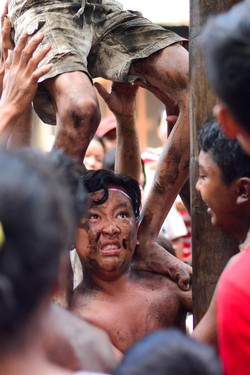 Perjuanagan Panjat Pinang