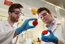 Peneliti Australia Temukan Cara Hilangkan Kandungan Merkuri dari Air