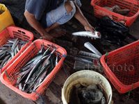 Melihat Perkampungan Nelayan Kaliadem