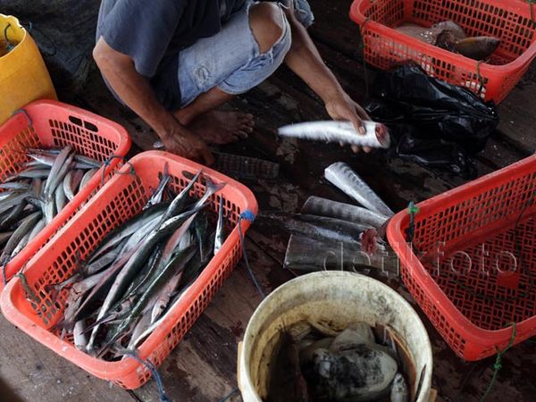 Melihat Perkampungan Nelayan Kaliadem