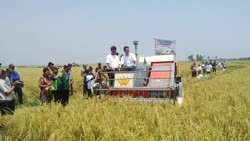 Tunjuk Langsung Pengadaan Pupuk, Mentan: Tikus dan Hujan Tak Tunggu Tender