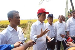 Ada Perjanjian Impor Beras dari Vietnam, Ini Kata Mentan