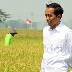 #1TahunJokowi: Rekam Jejak Timeline Pak Presiden