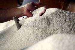 Sebelum Jokowi Umumkan, Impor Beras Sudah Diduga Terjadi