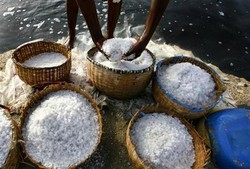 Garam Impor Bikin Menteri Susi Frustasi