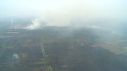 Ini Salah Satu Solusi Untuk Padamkan Kebakaran Hutan di Kalimantan