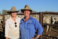 Indonesia Mungkin Kurangi Permintaan Jika Harga Sapi Australia Naik Lagi