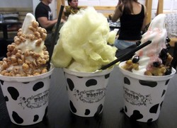 Wooyoo: Hmm.. Lembutnya Soft Ice Cream Organik dengan Topping Premium