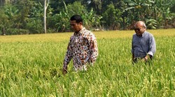 Gara-gara Asap, Pesawat yang Ditumpangi Mentan Gagal Mendarat di Mamuju