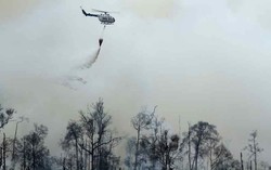 Anak Usaha Sampoerna Agro Digugat Rp 1 T Gara-gara Kebakaran Hutan