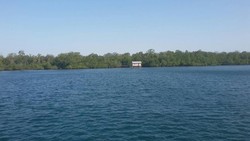 Mentan Sudah Minta Izin ke Jokowi Soal Pulau Karantina Sapi Impor