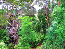 Asyiknya Naik Jembatan Kanopi di Balikpapan