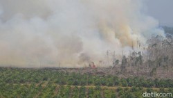 Jokowi Siapkan Sanksi ke Perusahaan Pembakar Lahan