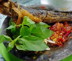 Pecel Lele Berasal dari Jawa Tengah atau Jawa Timur?