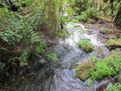 Mitos Air Pengabul Doa di Papua