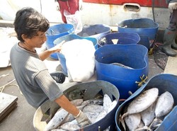 Ini Rahasia Makmurnya Nelayan-nelayan Jepang