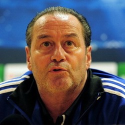 Hoffenheim Jadi Tim Kedua di Bundesliga yang Ganti Pelatih Musim Ini