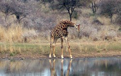 Ini 10 Negara Terbaik untuk Didatangi Tahun 2016