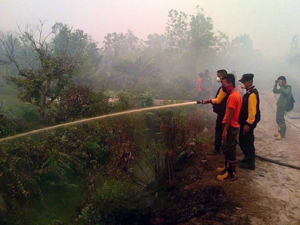 Pemadaman Kebakaran Hutan di Kalteng