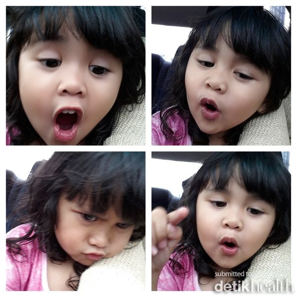 Salvia Zanetha Biancalysta