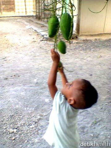 Arsakha Virendra Shafwan