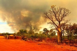 Dunia Alami Kekeringan Parah Akibat El-Nino