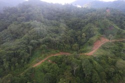 Apa Kabar Proyek Jalan Perbatasan Indonesia-Malaysia?