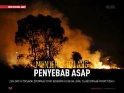 Menjerat Dalang Penyebab Asap