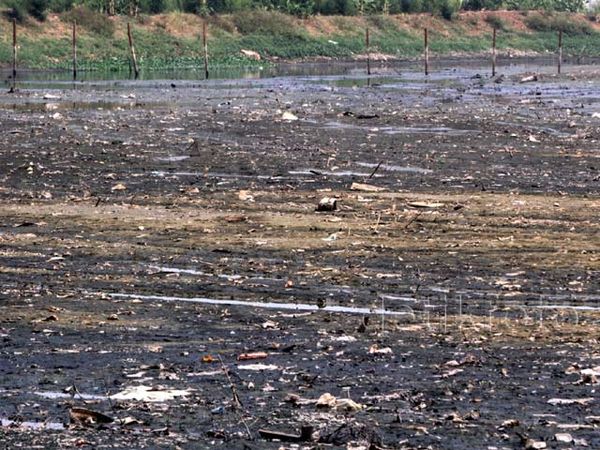 Waduk Ria Rio Alami Sedimentasi