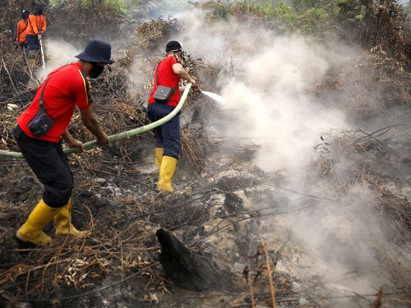 Perjuangan TNI Padamkan Kebakaran Hutan