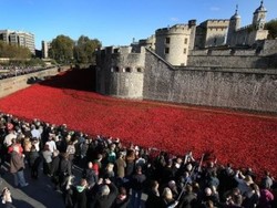Pencipta Poppies Kecewa karena Karya Seninya Dijual Murah