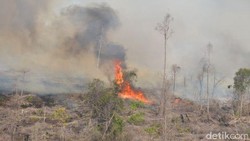6 Gunung Sudah Terbakar, Pendaki Harus Berhati-hati