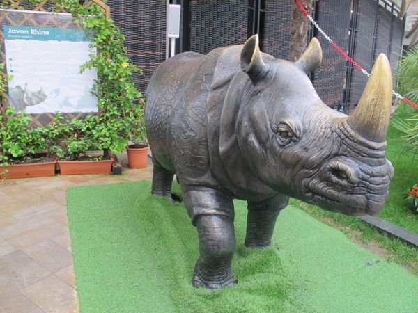 Patung Badak yang Akan Disimpan di Museum Vatikan