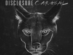 Caracal, Mendengar Disclosure Lebih Jelas Lagi
