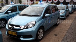 Ojek Online Menjamur, Blue Bird: Nggak Ganggu Laba