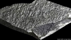 Pahatan Zaman Es Ditemukan di Jersey Inggris