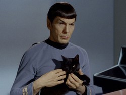 Trekkies, Star Trek Akan Segera Kembali ke Layar Kaca!