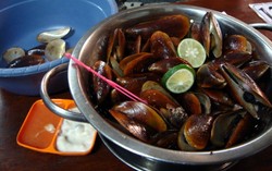 Malam Ini Enaknya Makan Kerang Rebus yang Kenyal Gurih