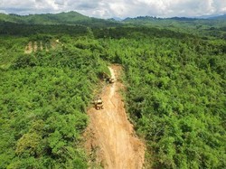 Jokowi Bangun Trans Papua 4.000 Km dan Perbatasan Kalimantan 1.670 Km