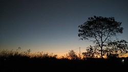 Bukit Bintang, Tempat Keren Melihat Sunset di Kupang