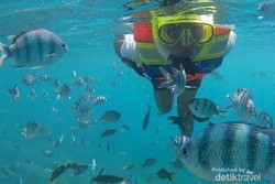 6 Laut Cantik untuk Snorkeling Pertama Kali