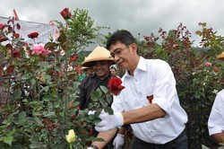 Cerita di Balik Wali Kota Batu yang Berani Kembalikan Dana Desa