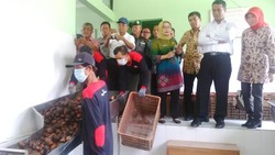 Eksportir Untung 230% Jual Salak ke China, Mentan Minta Harga di Petani Naik