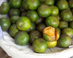 Jeruk Pontianak dan Jeruk Berastagi, Jeruk Lokal Populer yang Manis Segar