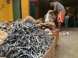 Pemilik Warteg Lebih Pilih Teri Asal Thailand Karena Lebih Untung